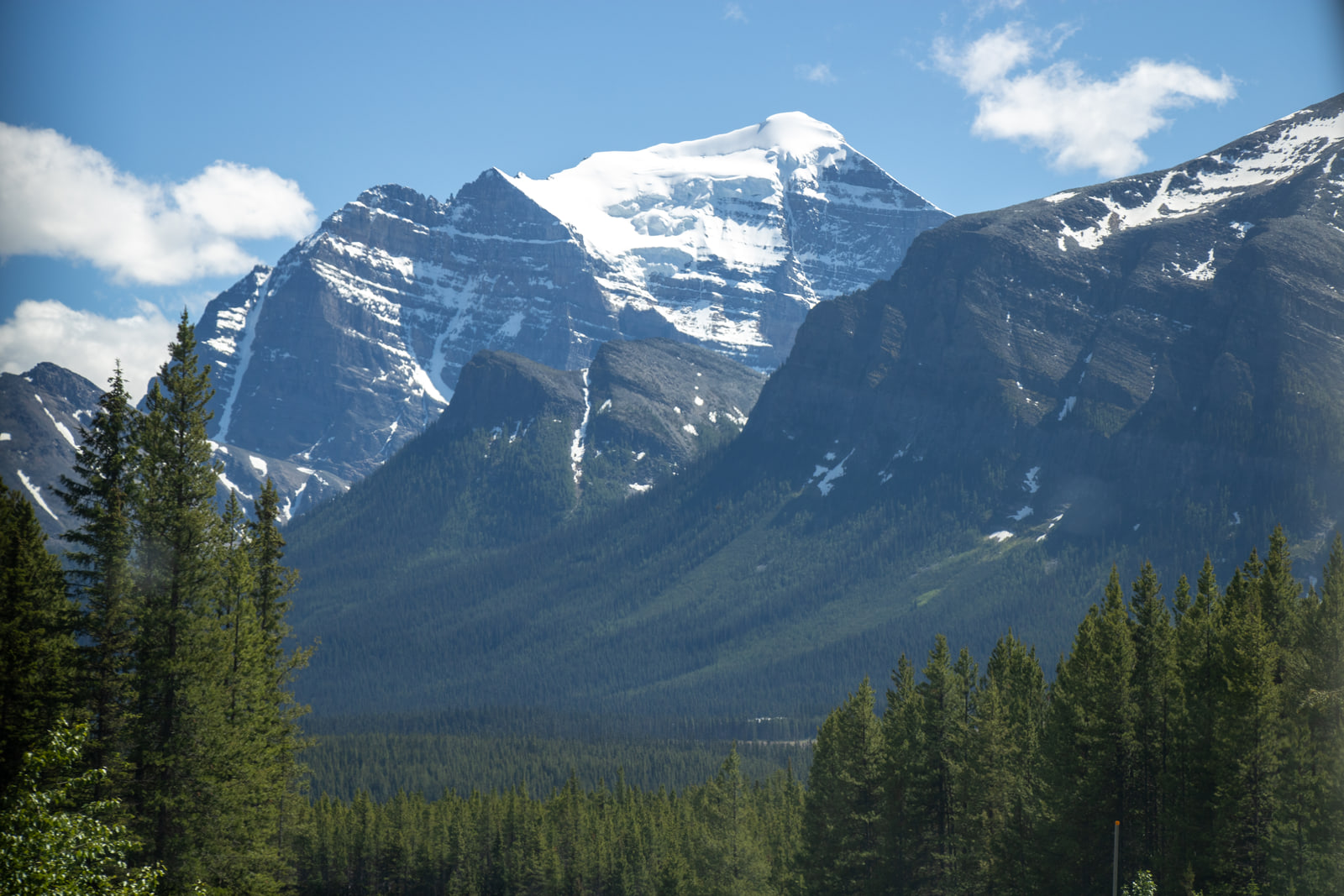 A mountain with a bright sunlit summit snowfield and a dark shadowed buttress, with layered ridgelines behind spruce tops.